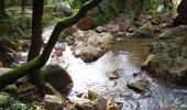 Percorso Marcia Roquebrune-sur-Argens - les gorges du blavet - Photo 3