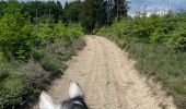 Trail Horseback riding Bastogne - Tripoux 2023 j2 - Photo 1