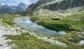 Tour Wandern La Chapelle-en-Valgaudémar - Valgo2 - J2 : Col de Pétarel  - Photo 17