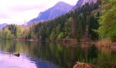 Trail On foot Schwangau - Alpsee-Rundweg - Photo 6