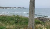 Tour Wandern Plobannalec-Lesconil - Lesconil - Photo 3