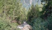 Randonnée Marche Chamonix-Mont-Blanc - Chamonix, cascade du dard,  glacier des boissons - Photo 4