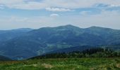 Tour Wandern Sondernach - Rando les Copains d'abord.. 19/05/2022 - Photo 9