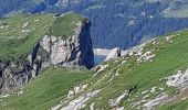 Tocht Stappen Beaufort - COL DE LA SAUCE - Photo 10