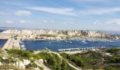 Tocht Stappen Marseille - île de Frioul  - Photo 11