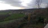 Trail Walking Pouilley-les-Vignes - Pouilley les vignes - Photo 3