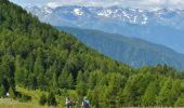 Trail On foot Monno - Sentiero Brigata Fiamme Verdi Antonio Schivardi - Luigi Tosetti - Photo 9