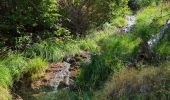 Trail Walking Beuil - balcon sur les gorges du cians - Photo 4