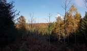 Trail Horseback riding Viroinval - Oignies- Nobertin- La folie-Oignies - Photo 2