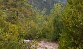 Trail Walking Septmoncel les Molunes - clavières (haut jura) - Photo 12