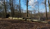 Tocht Stappen Écaussinnes - Ecaussinnes et le Bois de la Houssiere - Photo 16