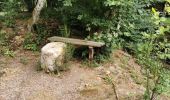 Tour Wandern Bouillon - Dohan 12km 2020  - Photo 13