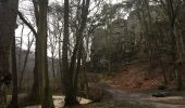 Trail On foot Nandrin - Les rochettes Bois des dames - Photo 13