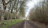 Trail Walking Veere - Se promener dans Westkapelle et dans les dunes  - Photo 8