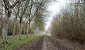 Randonnée Marche Veere - Se promener dans Westkapelle et dans les dunes  - Photo 8