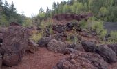 Excursión Senderismo Aydat - Puys de Lassolas, de la Vache, de Vichatel 5.5.24 - Photo 10