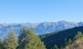 Trail Walking Montclar - SAINT JEAN MONTCLAR , forêt de Galisson , cabane de la Combe , o l m s  - Photo 18