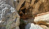 Trail Walking Hyères - Les calanques titou Ninou les 3 arches - Photo 11