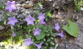 Trail Walking Seven spring waterfall - Rhodes les 7 sources 452019 - Photo 2