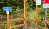 Randonnée Marche Lac-Édouard - QC - Lac Édouard - Les Bouleaux - Photo 2