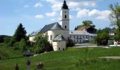 Tour Zu Fuß Sankt Oswald-Riedlhütte - Fichte - Photo 9