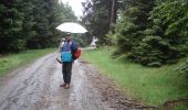 Percorso A piedi Steinach - Auf den Spuren des Schieferbergbaus - Photo 8