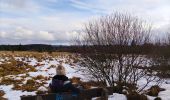 Trail Walking Waimes - La fagne de Sourbrodt   - Photo 1