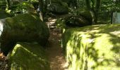 Trail Walking Mollkirch - le sentier des demoiselles de pierre - Photo 7