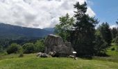 Excursión Senderismo Arâches-la-Frasse - boucle les Carroz, la forêt d'Araches, Cretoral, retour par la pierre a Laya - Photo 6