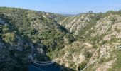 Trail Walking Aix-en-Provence - Prés d'Aix, les barrages de Bimont et Zola - Photo 10