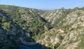 Excursión Senderismo Aix-en-Provence - Prés d'Aix, les barrages de Bimont et Zola - Photo 10