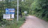 Percorso A piedi Vagli Sotto - Garfagnana Trekking - Tappa 4 - Photo 2