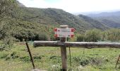 Tour Zu Fuß Caprino Bergamasco - Sentiero 808: Località Foppa - Coldara - Photo 8