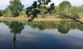 Tour Wandern Lignan-sur-Orb - Sur les rives de l'Orb - Pont de Tabarka - Pont de Cazouls - Photo 11