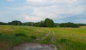 Excursión A pie Teupitz - Rundwanderweg Tornower See und Briesensee - Photo 2