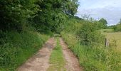 Tocht Stappen Notre-Dame-de-Bondeville - La bretêque-Isneauville-Houppeville - Photo 10