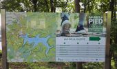 Trail Walking Jalhay - Tour du lac de la Gileppe  - Photo 19