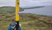 Tour Wandern West Cork - Dursey Sound - Allihies beach - Photo 7