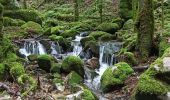 Tour Wandern Vecoux - 07-06-21 Reherrey- chalet des meules- col de xiard- chalet de l'avuxon- source chaude - Photo 14