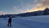 Tocht Sneeuwschoenen Autrans-Méaudre en Vercors - La cheminée  - Photo 2