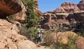 Tocht Stappen Unknown - 2024 Canyonlands The Needles - Photo 11