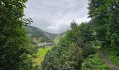 Trail Walking Chamonix-Mont-Blanc - J11 - R9 - Montroc - Le Tour - Petit Balcon Nord  - Photo 19