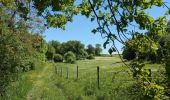Randonnée Marche Manthelan - Manthelan - le Louroux - via PRs - 20.7km 100m 4h45 (1h) - 2025 04 30 - Photo 14