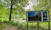 Randonnée Marche Gerpinnes - Chapelle du tri Marie Lineau  - Photo 7