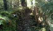 Excursión Senderismo Capoulet-et-Junac - Le Vicdessos par Illié - Photo 12