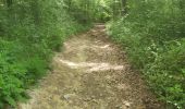 Trail Walking Livarot-Pays-d'Auge - Les Moutiers Hubert - Photo 7