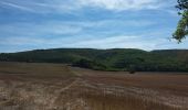 Tour Wandern Milhars - Milhars du Cėrou à l'Aveyron - Photo 11