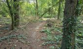 Randonnée Marche Fleury-Mérogis - Fleury-Méfrogis - Forêt Régionale de Saint-Eutrope - Photo 16