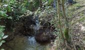 Trail Walking Corsaint - circuit Turley par forêt et prairie et ruisseau  - Photo 5