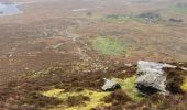 Trail Walking Conamara Municipal District - Début rando des Twelve Bens - Photo 4